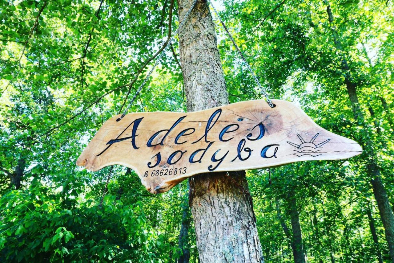 Namelis Nr 1 Adeles Sodyba Sturmai Екстер'єр фото