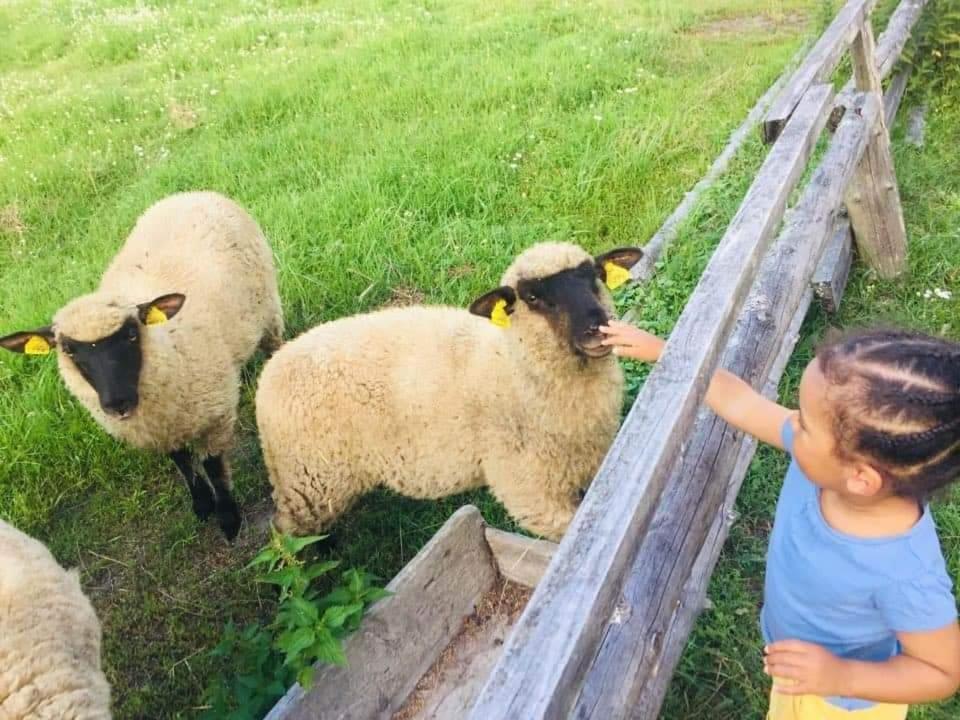 Namelis Nr 1 Adeles Sodyba Sturmai Екстер'єр фото